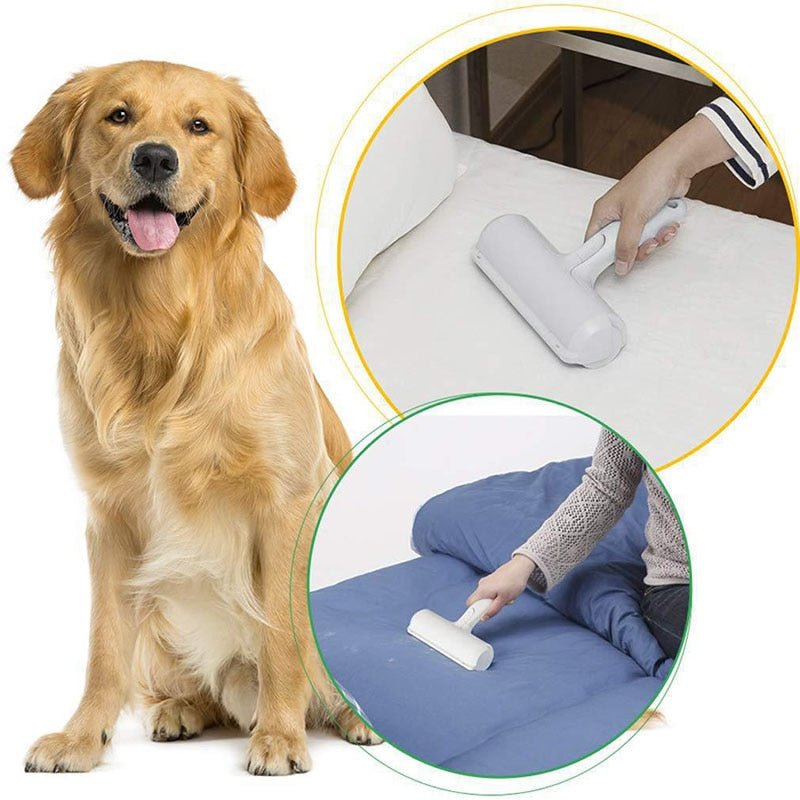 Cleanoutou™ - Rouleau anti - poils chien - Canin Privilège