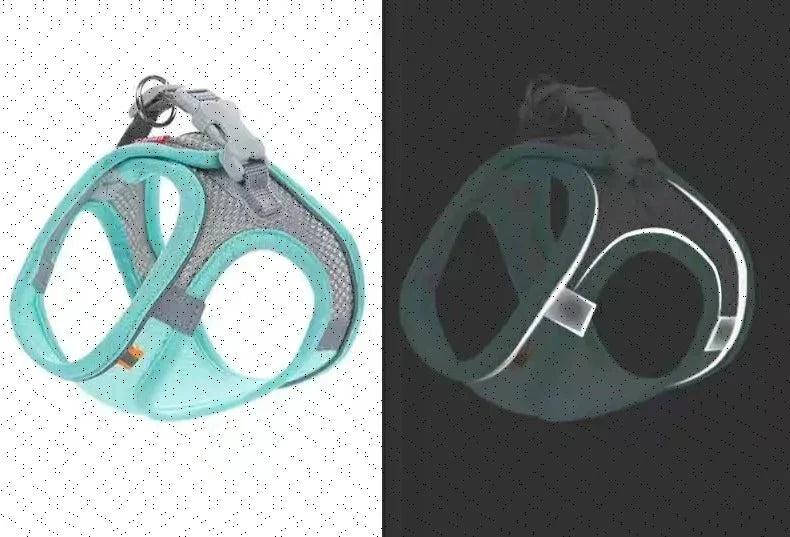 HarnaisFlash™ | Harnais réfléchissant chien & chat - Canin Privilège