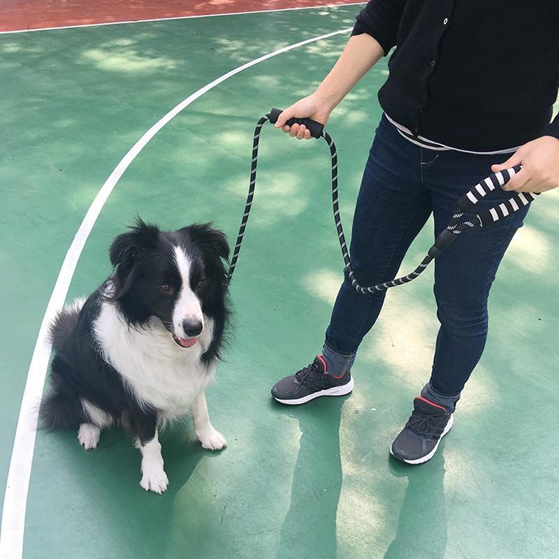 LaisseEduc™ - Corde en Nylon pour chien | Chien - Canin Privilège