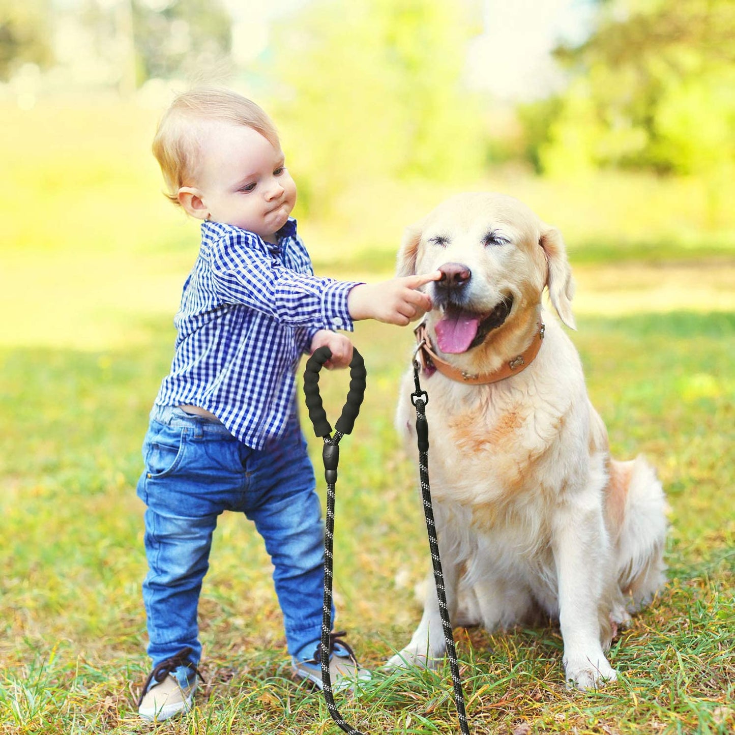 LaisseEduc™ - Corde en Nylon pour chien | Chien - Canin Privilège