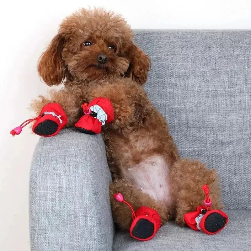 SetChiensWaterproofChaussettes™ - Canin Privilège