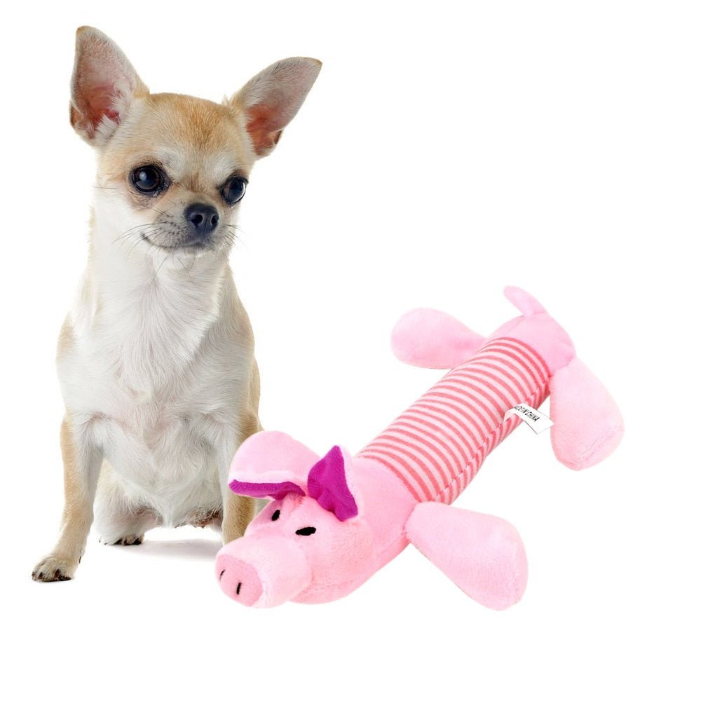 SoundToys™ - Jouet peluche pour chiens - Canin Privilège