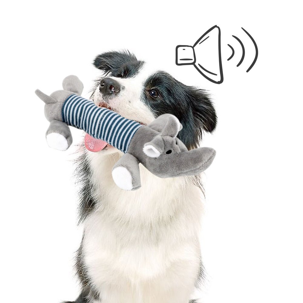 SoundToys™ - Jouet peluche pour chiens - Canin Privilège