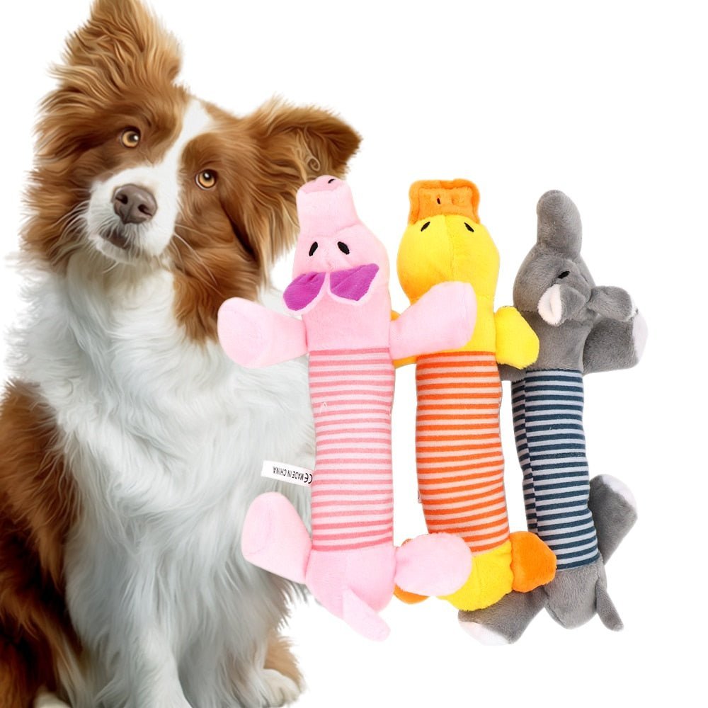 SoundToys™ - Jouet peluche pour chiens - Canin Privilège