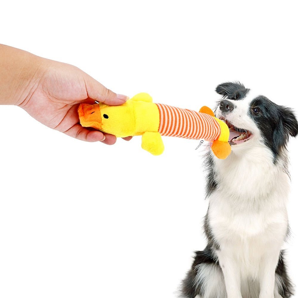 SoundToys™ - Jouet peluche pour chiens - Canin Privilège