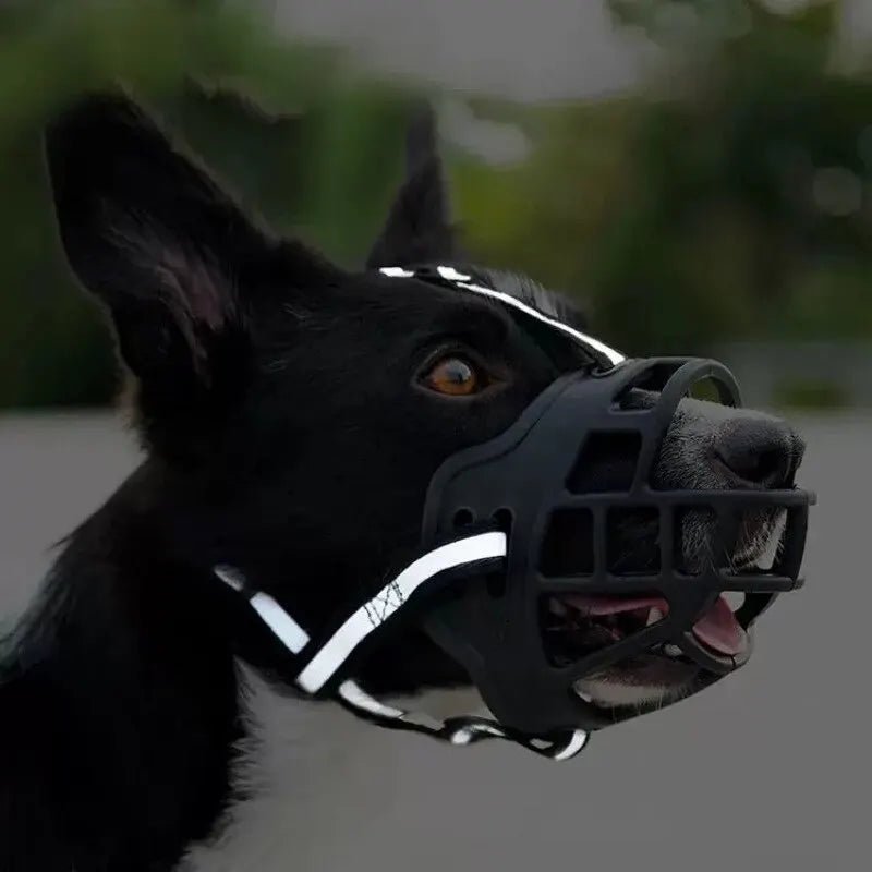 Anti - BarkDog™ - Canin Privilège