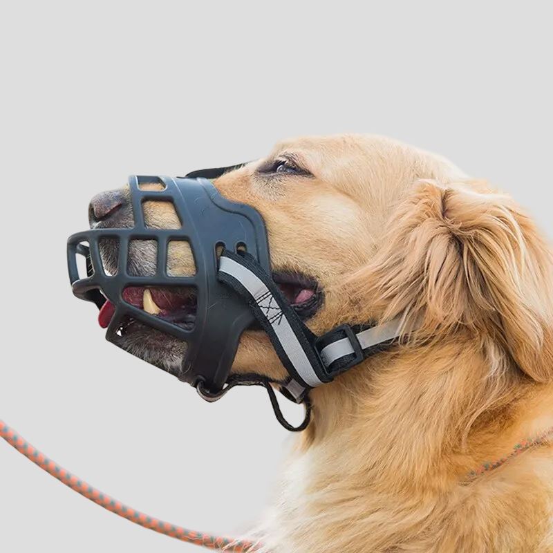 Anti - BarkDog™ - Canin Privilège