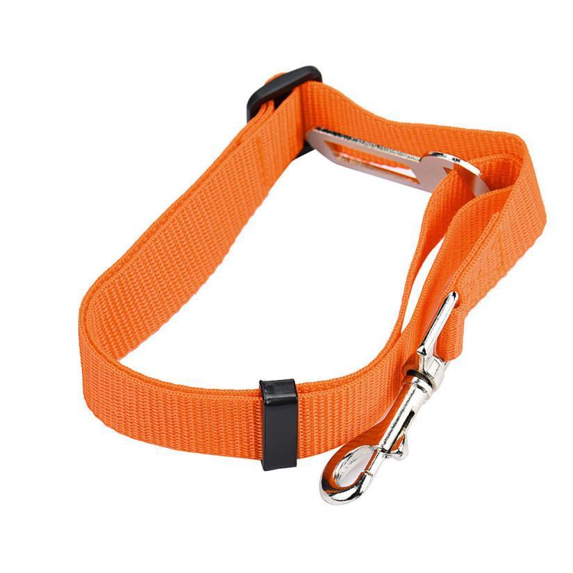 BeltPet™ - Ceinture de siège pour animal de compagnie - Canin Privilège